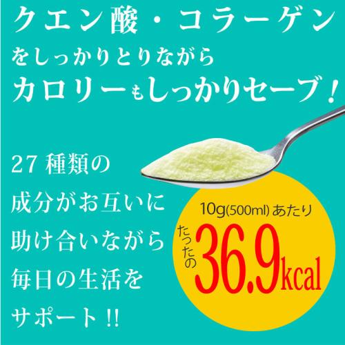 【定期購入】燃やしま専科ラムネ風味500g 